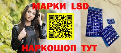 стафф Камышлов